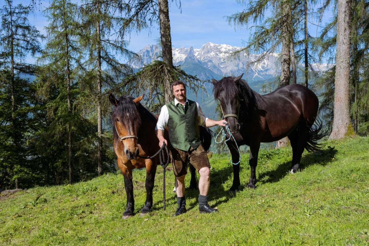 Familienbauernhof Samerhof Pfarrwerfen Extérieur photo