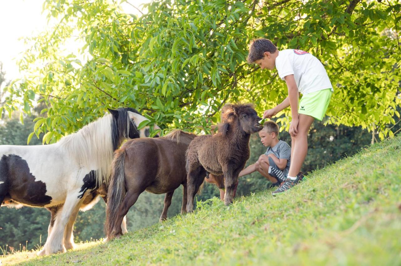 Familienbauernhof Samerhof Pfarrwerfen Extérieur photo