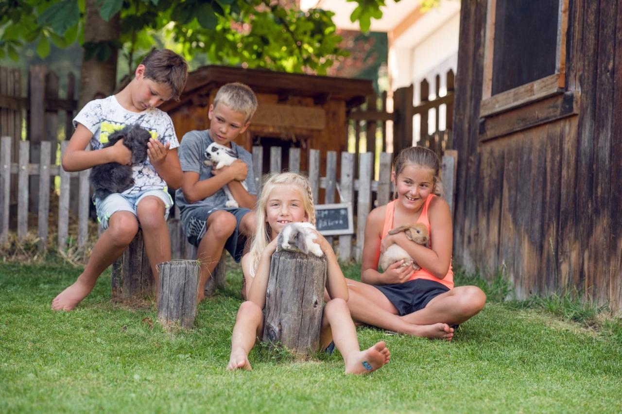 Familienbauernhof Samerhof Pfarrwerfen Extérieur photo