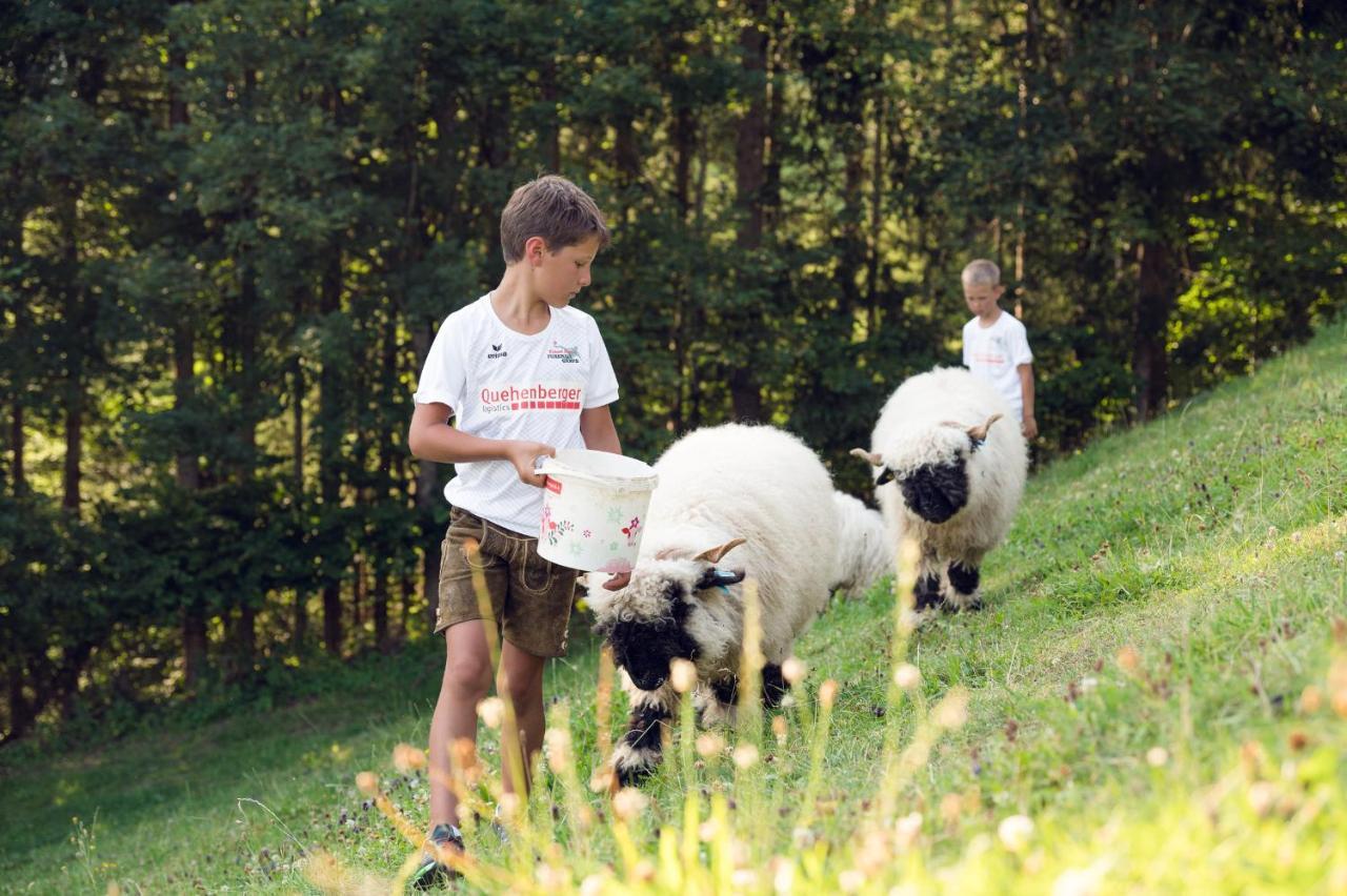 Familienbauernhof Samerhof Pfarrwerfen Extérieur photo